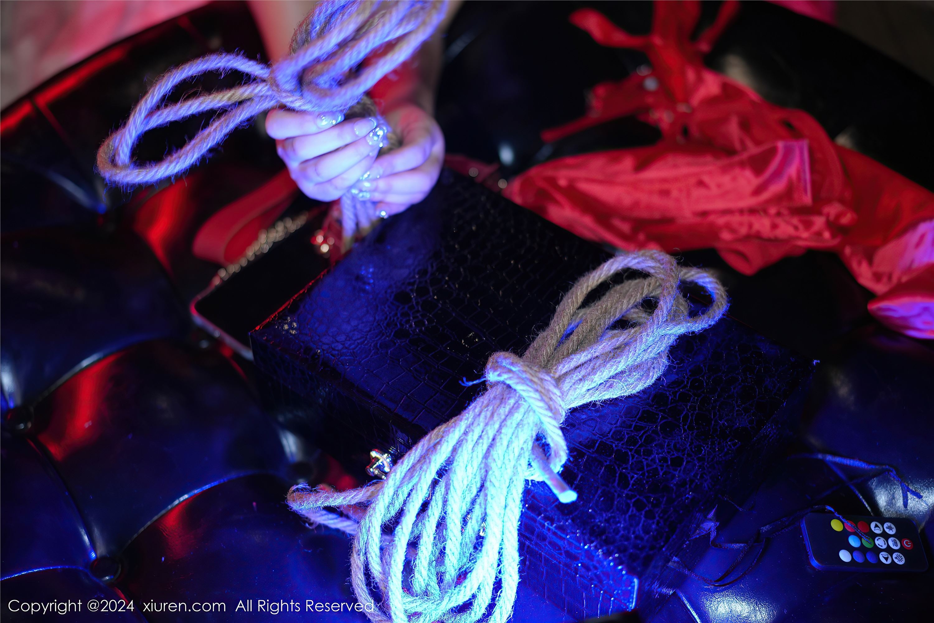 Xiuren秀人网 2024.05.17 NO.8555 laura阿姣